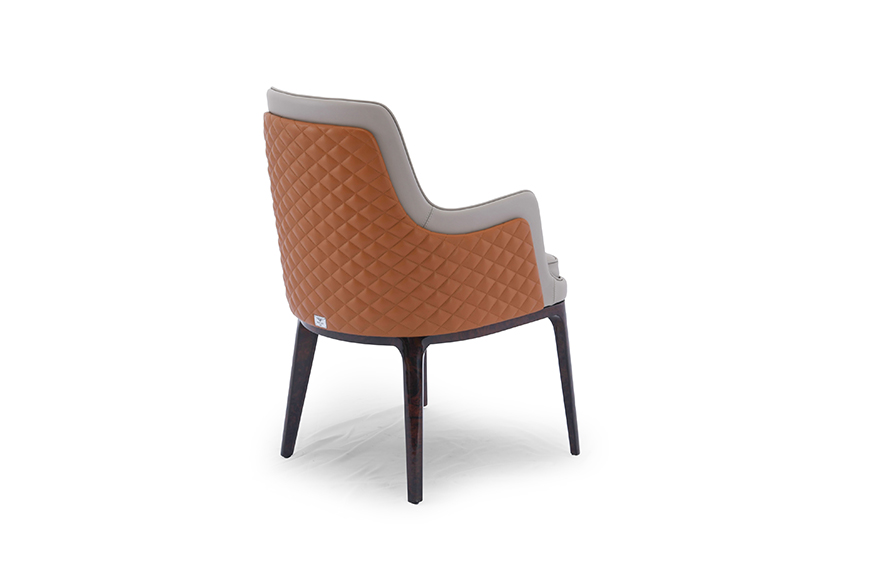 Dining Chairs (B-DC1006)