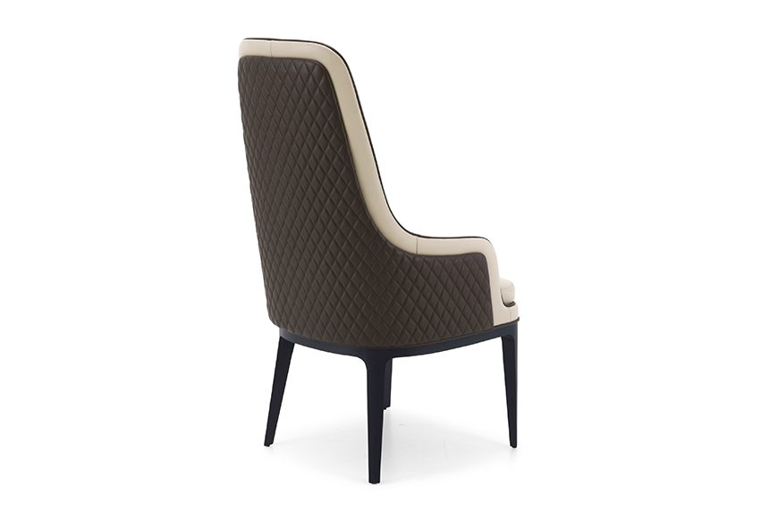 Dining chair (B-DC1006)