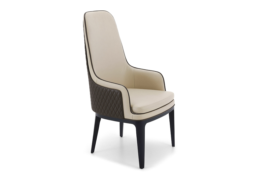 Dining chair (B-DC1006)