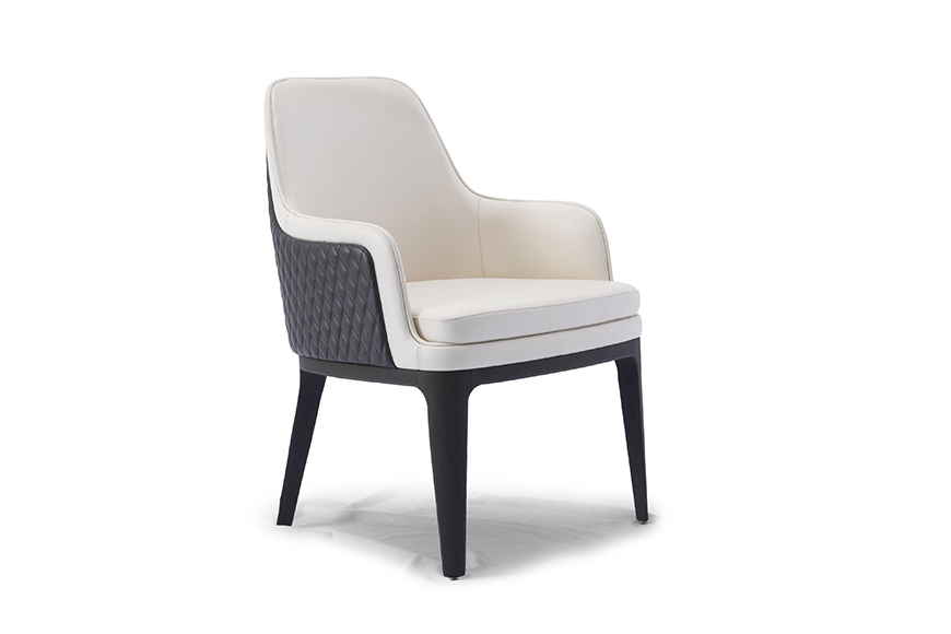 Dining Chairs (B-DC1006)