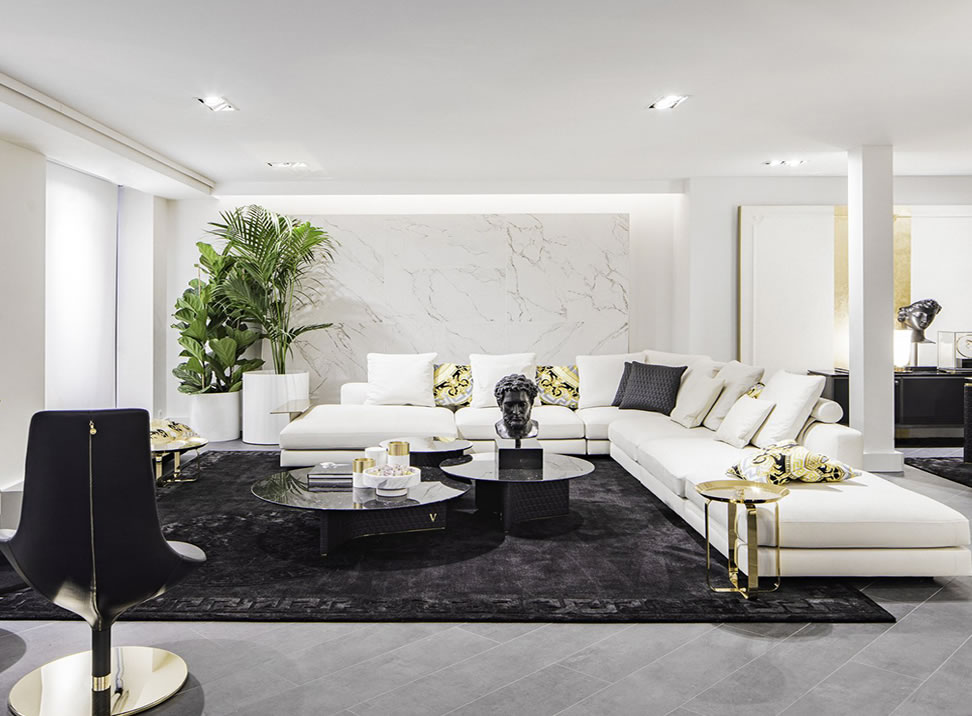 Sofa  Scenario Cases