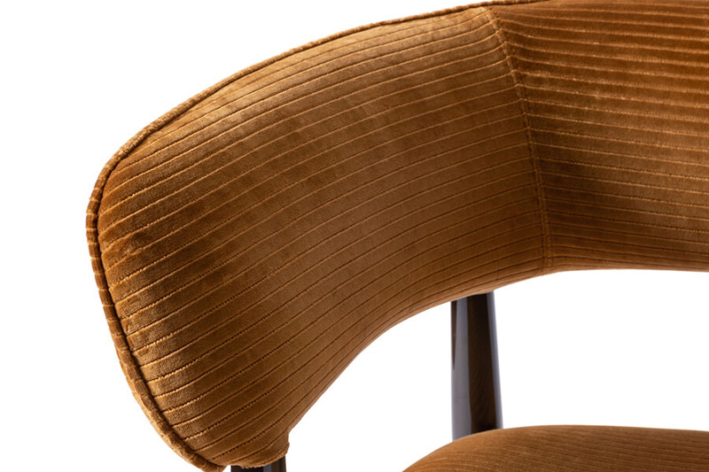 Dining chair(F-DC1006)