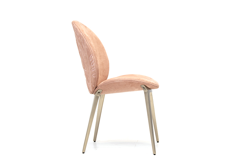 Dining chair (B-DC1019)